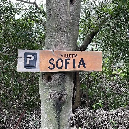 Belocations - Sofia's