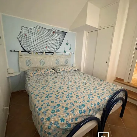 Belocations - Sofia's